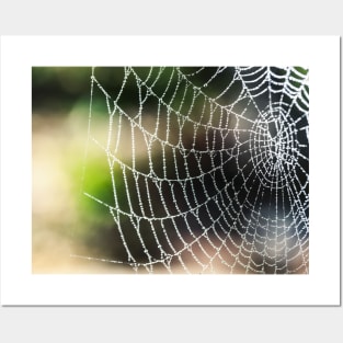 Arachnid artistic blur bokeh Posters and Art